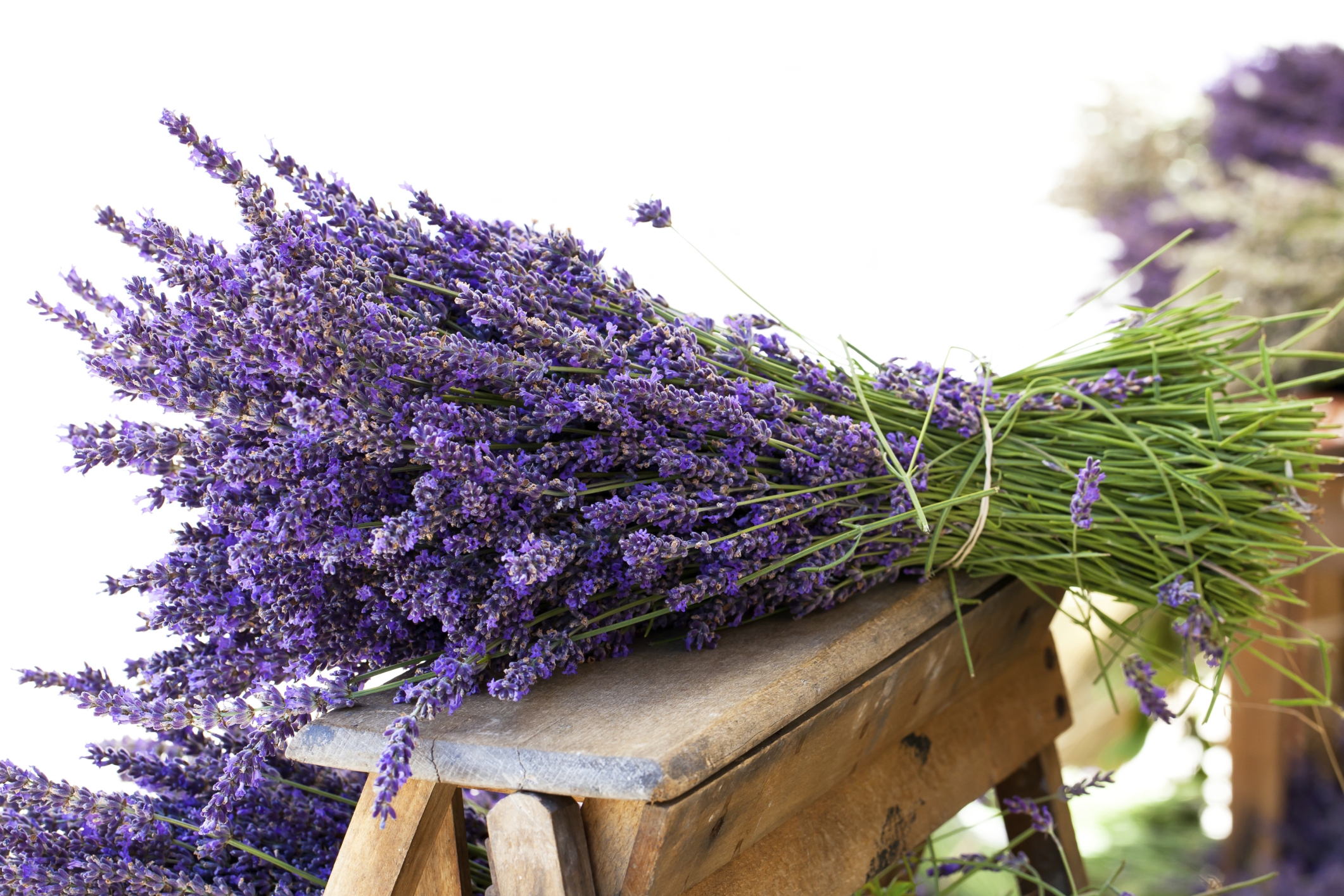 Fiori Di Lavanda Secchi Naturali, 200 G, Per Infusi Rilassanti, Aromaterapia, Profumazione Per Cassetti, Armadi E Ambiente, Decorazione Naturale