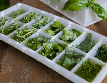 Come conservare le erbe aromatiche in freezer