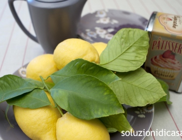 detersivo liquido limone