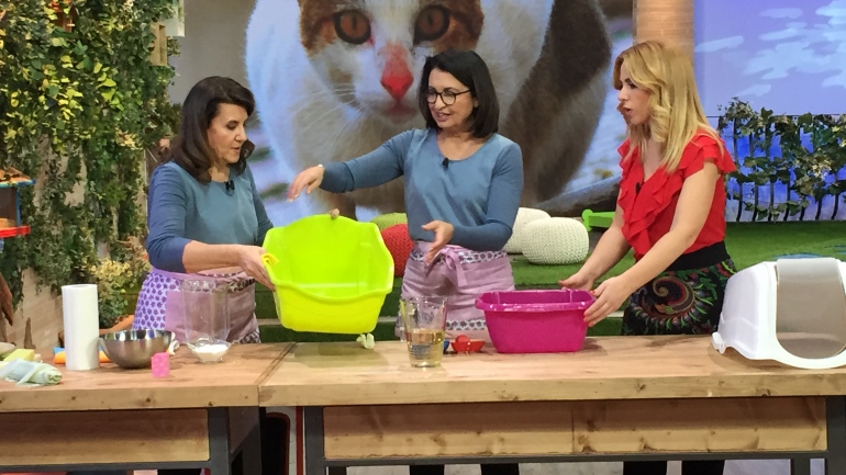 Come pulire la lettiera del gatto