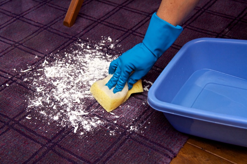 Come pulire i tappeti