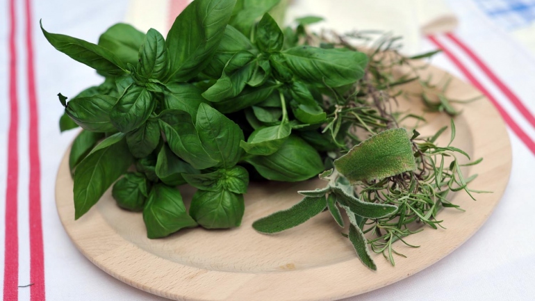 proprietà delle erbe aromatiche